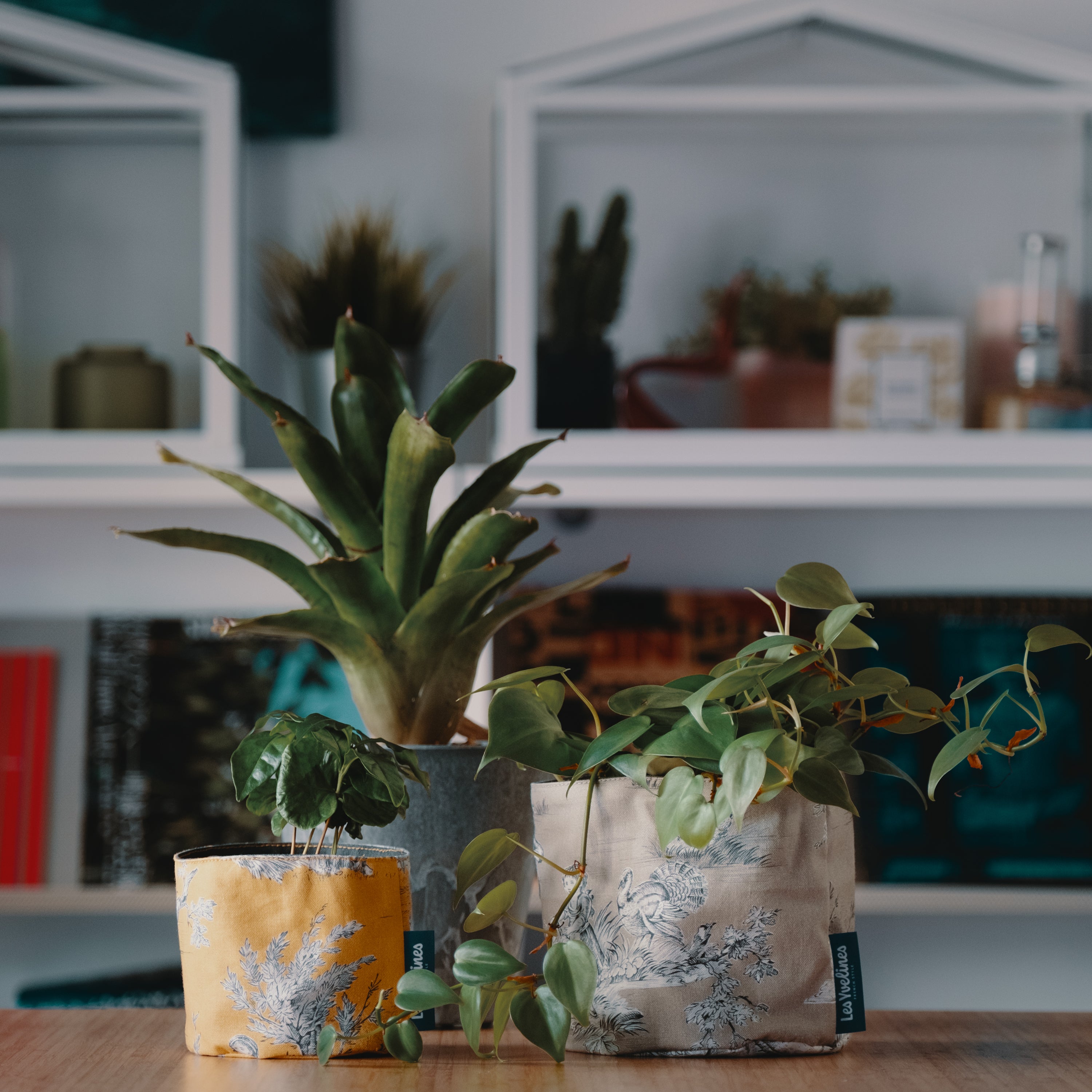 Toile Botanique 鉢カバー/小物入れ Lサイズ – Les Yvelines