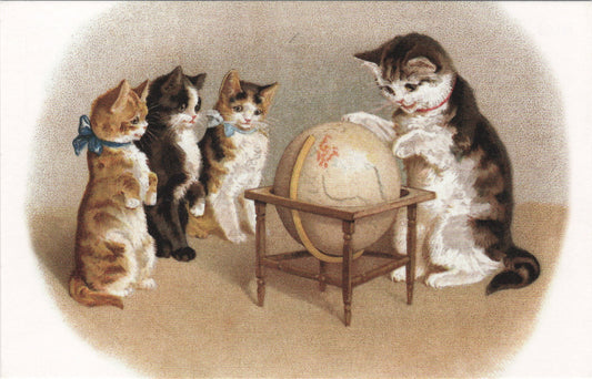 ポストカード 4匹の猫と世界地図